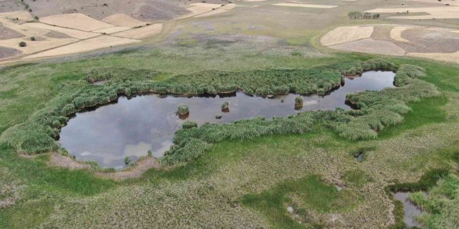 Habitat harikası göl, maden ocağı tehdidi altında