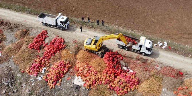 Yol kenarına dökülen tonlarca soğan havadan görüntülendi