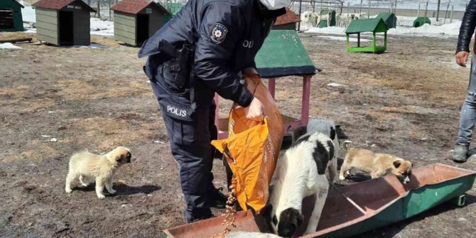 Polis ekipleri sokak hayvanlarını unutmadı