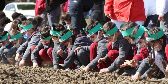 Çocuklar mor patates tohumlarını toprakla buluşturdu