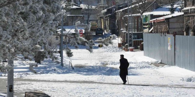 Kars eksi 13 ile dondu, ağaçlar kırağı tuttu