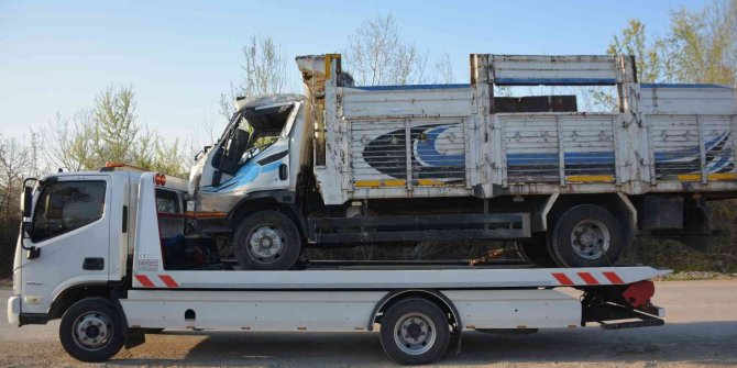 Pamuk yüklü kamyon devrildi1 kişi öldü