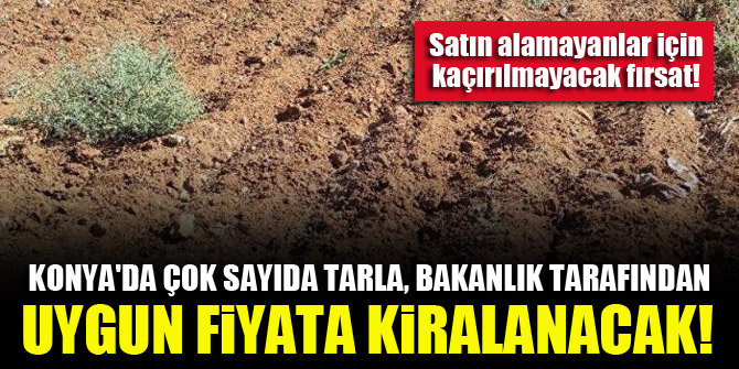 Konya'da çok sayıda tarla, bakanlık tarafından uygun fiyata kiralanacak! İşte kira süresi ve fiyatları!