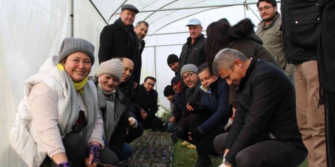 Tıbbi aromatik bitki yetiştiriciliğine yoğun ilgi