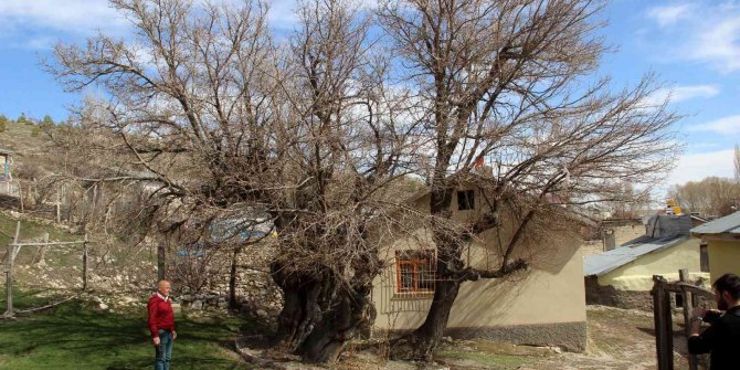 Yedi asırdır ayakta, zamana meydan okuyor