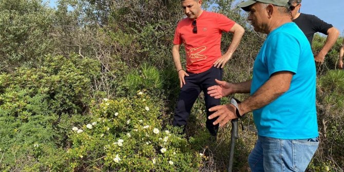 Doğal Botanik Parkı için harekete geçildi