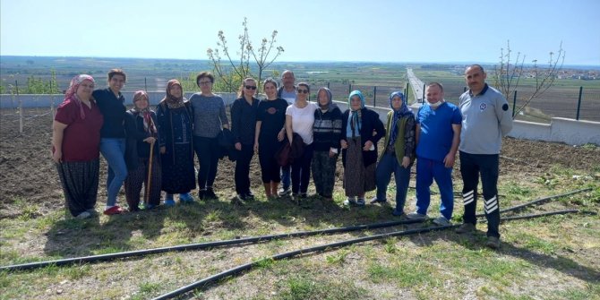 Edirne'de huzurevi sakinleri meyve sebze yetiştiriyor