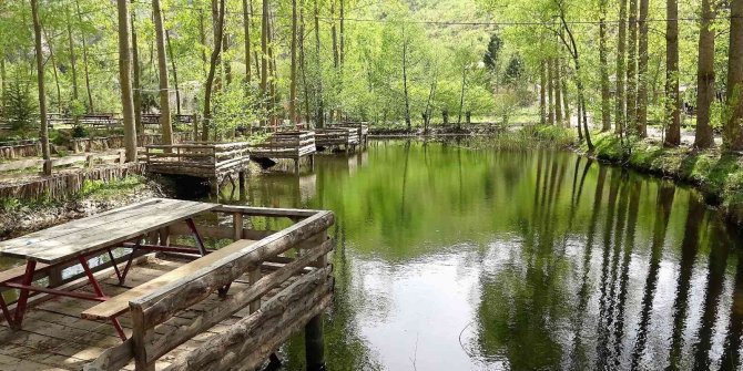 Yayla ama yüksekte değil, görenleri şaşırtıyor