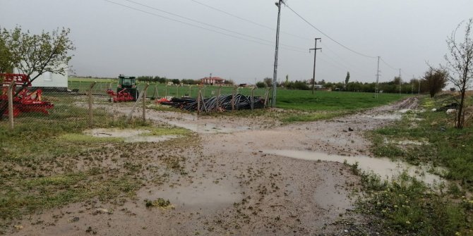 Dolu, tarım alanı ve ağaçlara zarar verdi