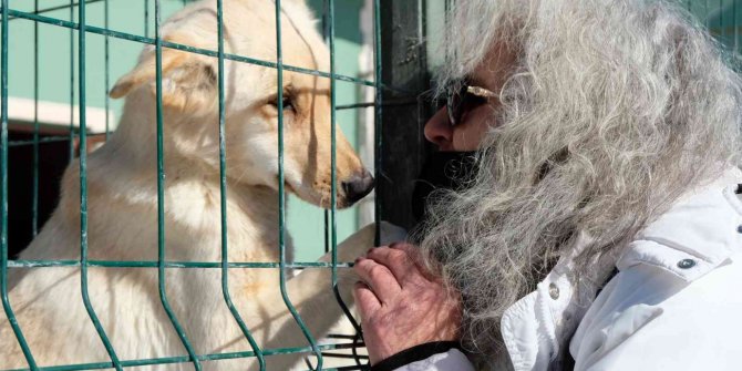 Yavru köpeklerin bakımsızlıktan öldüğü iddiası tepkilere neden oldu