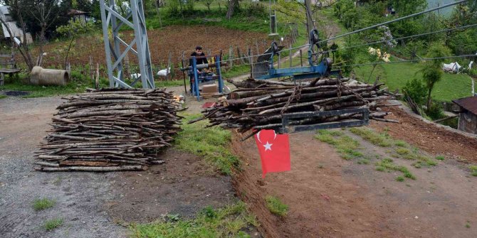 Gelmeyen yaz vatandaşları yakacak derdine düşürdü