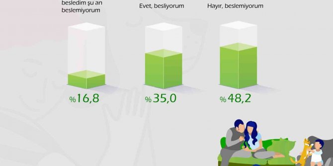 Türk halkı sokak hayvanlarını değil, saldırgan köpekleri tehlikeli buluyor