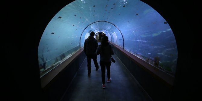 Tarihi vadilerin arasındaki "Tünel Akvaryum" misafirlerini ağırlayacak