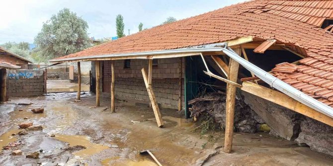 Yağış nedeniyle mandıralar çöktü, hayvanlar telef oldu