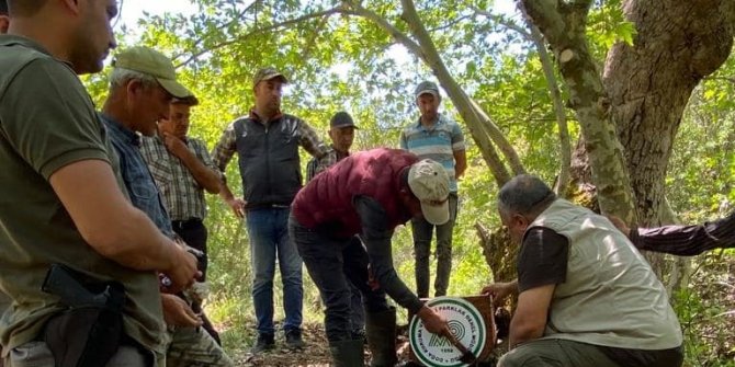 Yaban hayatı için su yalakları yerleştirildi