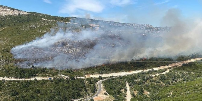 İzmir'in Urla ve Dikili ilçelerinde ormanlık alanlarda yangın çıktı