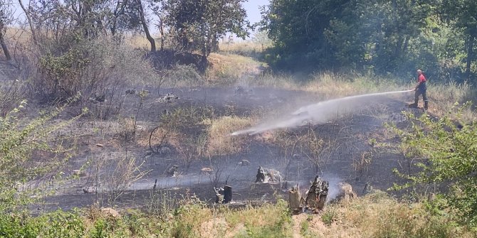 Nusaybin'de ağaçlık alanda çıkan yangın büyümeden söndürüldü