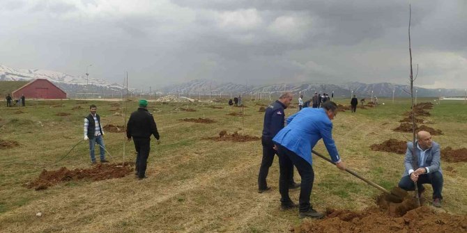 Ceza İnfaz Kurumunda fidan dikim etkinliği