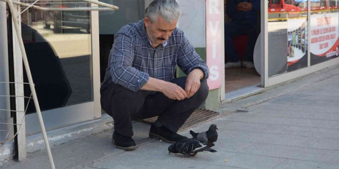 Ordu’da berberin güvercinlerle dostluğu