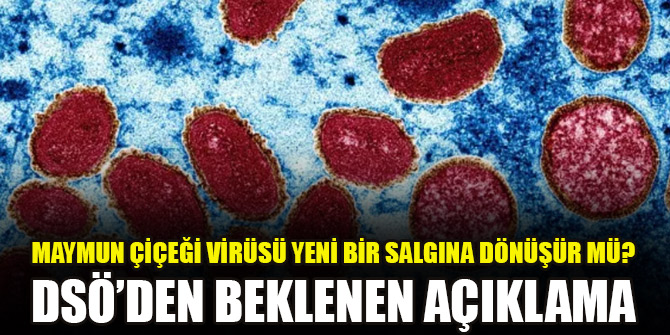 Maymun çiçeği virüsü yeni bir salgına dönüşür mü? DSÖ’den beklenen açıklama