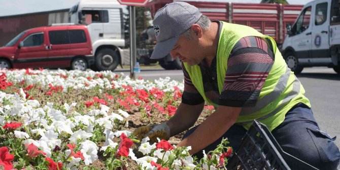 Kütahya’da refüjlere çiçek