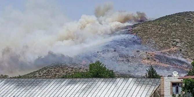 Antalya'da makilik alanda yangın