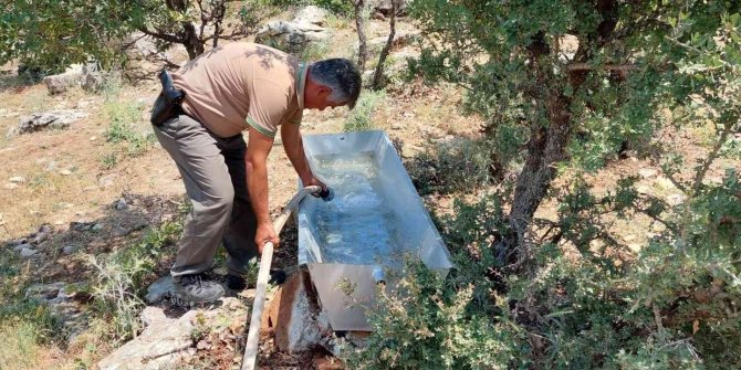 Yaban hayvanları için su teknesi bırakıldı