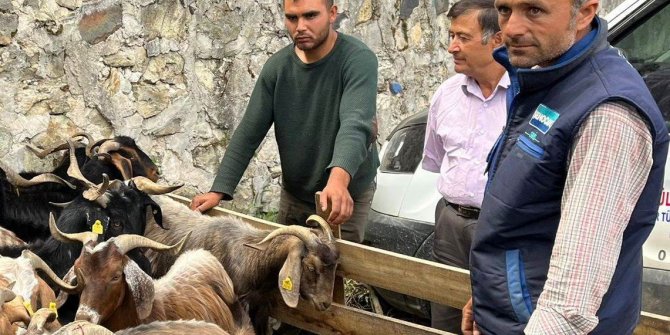 Kurbanlık hayvan pazarında denetim