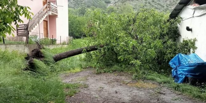 Şiddetli rüzgar ağaçları devirdi, çatıları uçurdu