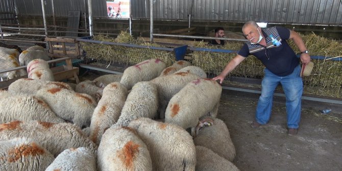 Kurbanlık alacaklar dikkat