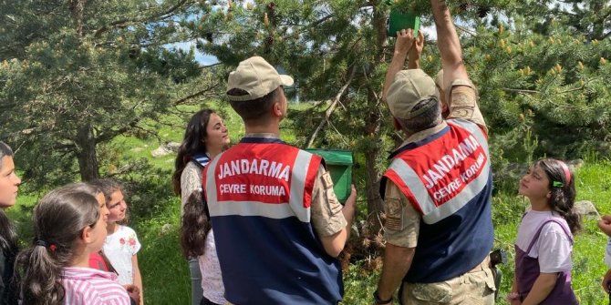 Ormanlara kuş yuvası asıldı