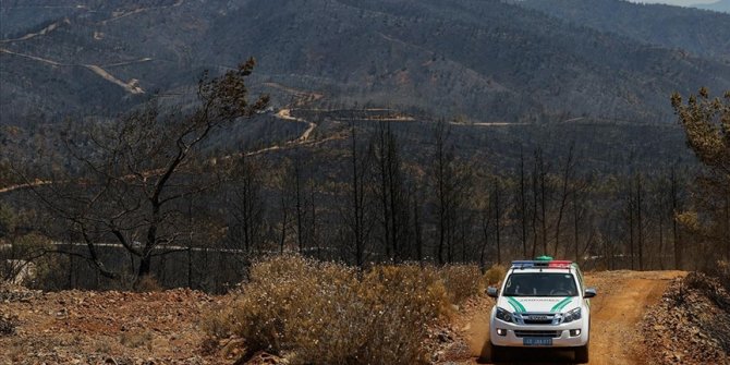 Yangından etkilenen yaban hayvanları için devriye görevi