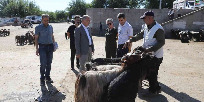 Kurbanlık satış ve kesim yerleri belirlendi