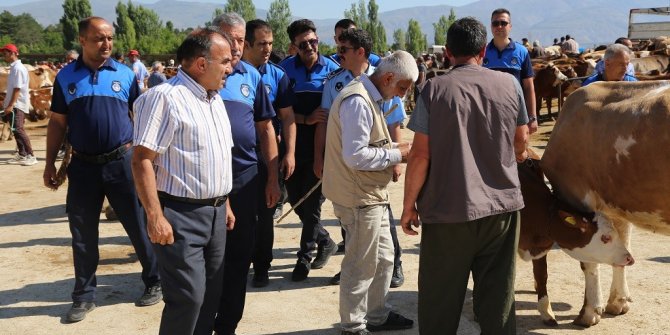 Zabıta ekipleri hayvan pazarını denetledi