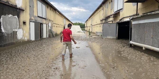 Tavuk çiftliği işletmesi 195 bin hayvanı selde kaybetti