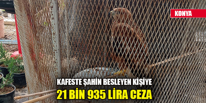 Konya'da kafeste şahin besleyen kişiye 21 bin 935 lira ceza kesildi