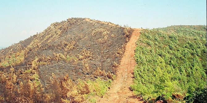 Alevlerin önü 25 yıl sonra yine aynı sırtta kesildi