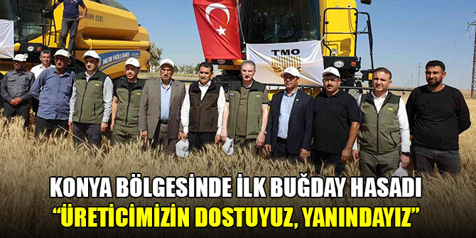 Konya bölgesinde sezonun ilk buğday hasadı