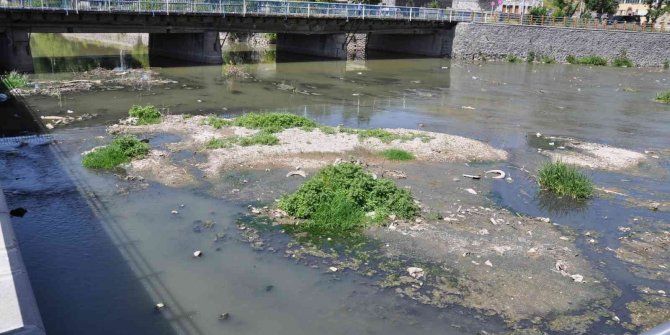 Kars Çayı zehir akıyor