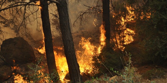 Meteorolojiden o il için kritik sıcaklık ve yangın uyarısı