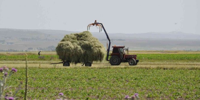 Çiftçilerin ot biçme mesaisi başladı