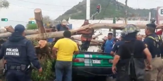 Meksika’da 25 metrelik ağaç aracın üzerine devrildi: 1 ölü, 3 yaralı