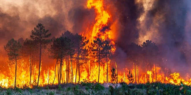 Avrupa'da orman yangınları etkisini sürdürüyor