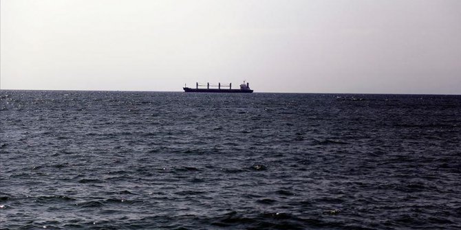 Silah taşıyan Rus kargo gemisi Hindistan'da alıkonuldu