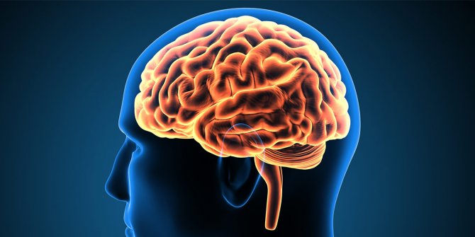 Beyin hastalıklarında dil ve konuşma nasıl etkilenir?