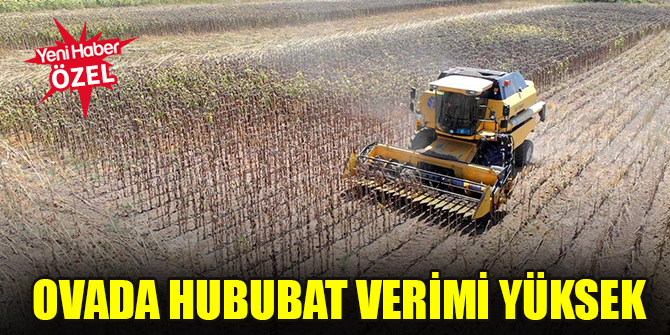 Ovada hububat verimi yüksek