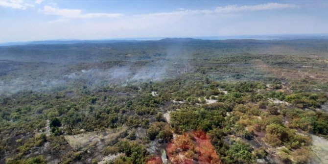 Slovenya'da çıkan orman yangınında 1000 hektarlık alan yok oldu