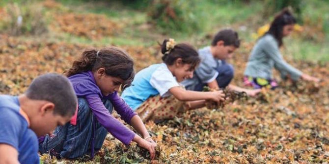 Türkiye’de çocuk işçiliği azalıyor