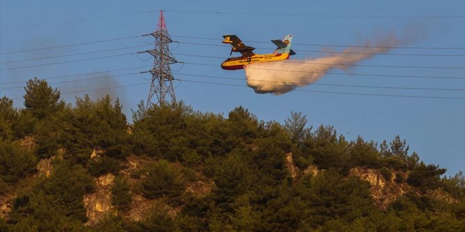 Aydın'daki orman yangını kısmen kontrol altına alındı