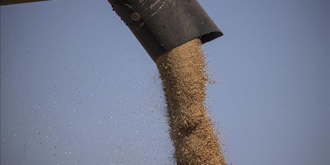 Istanbul center to coordinate Ukrainian grain exports to officially open Wednesday